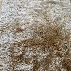 フランフランで購入したシャギーラグの画像