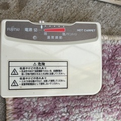 足元用？ホットカーペットの画像