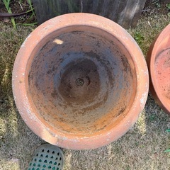 民族的な彫り物がしてある素焼きの植木鉢の画像