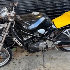 SUZUKI  バンディット250の画像