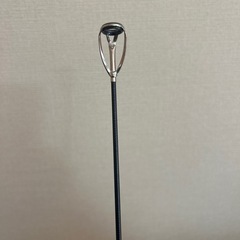 ガーラモンスターの画像