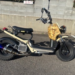 ズーマー50 北米仕様
の画像