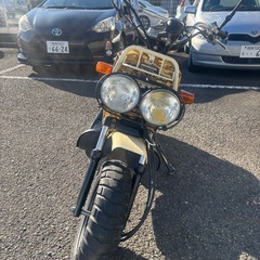 ズーマー50 北米仕様
の画像