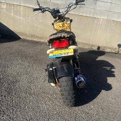 ズーマー50 北米仕様
の画像