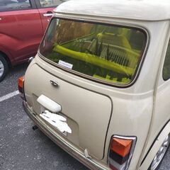ローバーミニ譲りますの画像