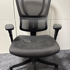 エルゴヒューマン　スマートの画像