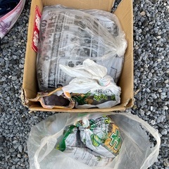 植木鉢、土の画像