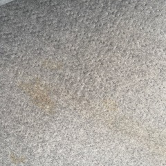 電気カーペットの画像