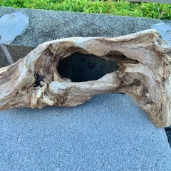 流木　水槽　アクアリウム　38×20×13の画像