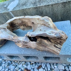 流木　水槽　アクアリウム　38×20×13の画像