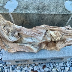 流木　水槽　アクアリウム　38×20×13の画像