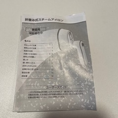 スチームアイロンの画像