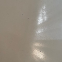 テーブル　ミニ　ローテーブルの画像