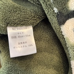 マフラー、ベスト、帽子の画像