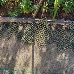 エコユニット大小全部の画像