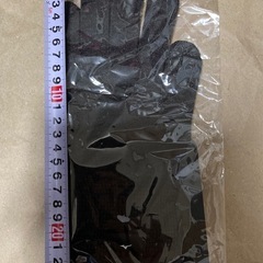新品 ミズノ 手袋 Lサイズ  黒 Breath thermo 定価1760円の画像