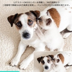 COOAU ペットカメラ 見守りカメラの画像