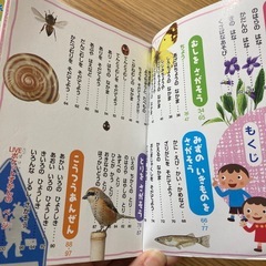 ポケットサイズずかん4冊セットの画像