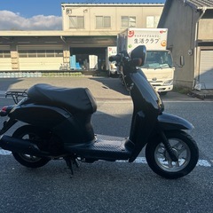 人気today 外装社外新品　シート新品張替（配送サービスあり）の画像