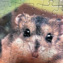 ハムスター　パズル　完成　　額入りの画像