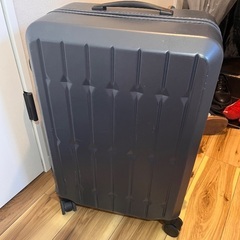 【キャリーバック】3~4日分用の画像