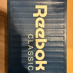 リーボック　ポンプフューリー  24.0の画像