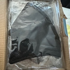 フィットマスク(アイリス)
 の画像