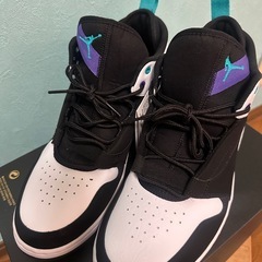 NIKE ジョーダンFADEAWAYの画像