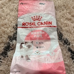 猫用ご飯の画像