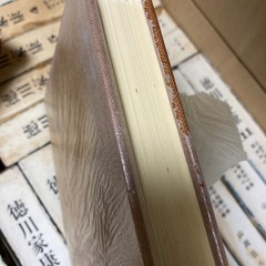 徳川家康 の画像