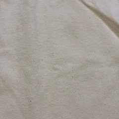 ⑤MOUSSY Tシャツ  フリーサイズの画像