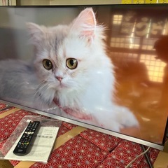 TCL 43V型 Android TV 4K液晶テレビ 43P8B美品の画像