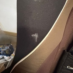 combi チャイルドシートの画像