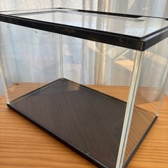 水槽　金魚鉢　の画像