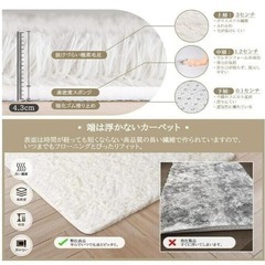 再10【1畳】絨毯 カーペット シャギーラグ 【アイボリー】 ラグマット Beddiny ホットカーペット対応の画像