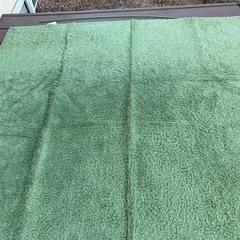 ニトリのラグの画像