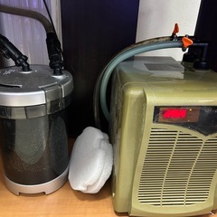 水槽、海水魚生体セットの画像