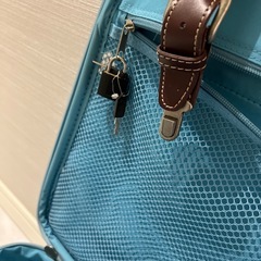 機内持ち込みサイズ　キャリーケースの画像