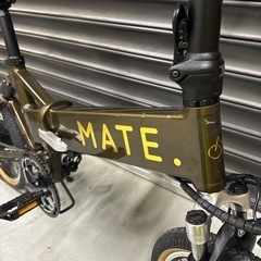 MATE.CITY   　Golen Oliveの画像