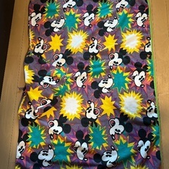 ディズニーフリースポンチョ大人用の画像