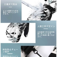 FAIRY スキー・スノーボード用グローブ サイズLの画像