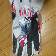 FAIRY スキー・スノーボード用グローブ サイズLの画像