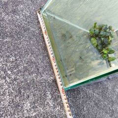 水槽  W60cm×D30cm×H45cmの画像