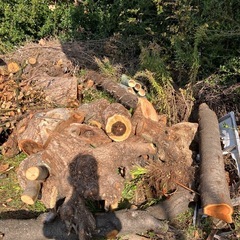 薪（大きめ）の画像