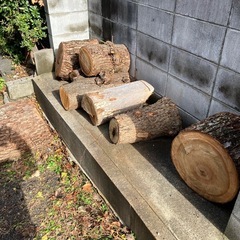 薪（大きめ）の画像