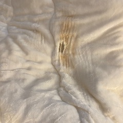 こたつ差し上げます。の画像