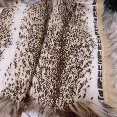 古着 洋服　など まとめ売りの画像