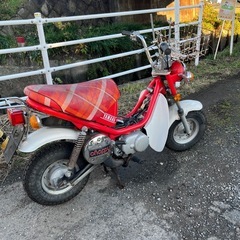 チャッピー 50cc ヤマハ レトロ レストアベースの画像