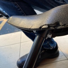 STRIDER SPORT MODEL   ストライダー　スポーツモデルの画像