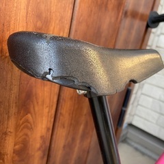 STRIDER SPORT MODEL   ストライダー　スポーツモデルの画像